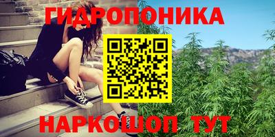 ПСИЛОЦИБИНОВЫЕ ГРИБЫ Пушкино