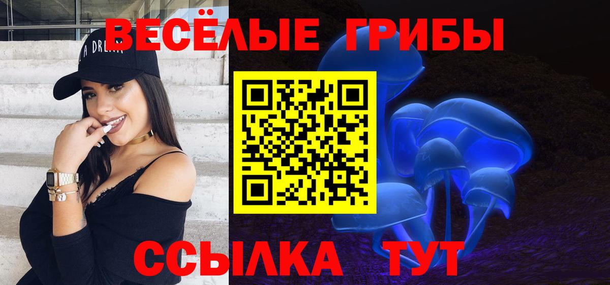 Псилоцибиновые грибы MAGIC MUSHROOMS  Псилоцибиновые грибы мухоморы  Вход с VPN  Евпатория 
